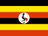 +256